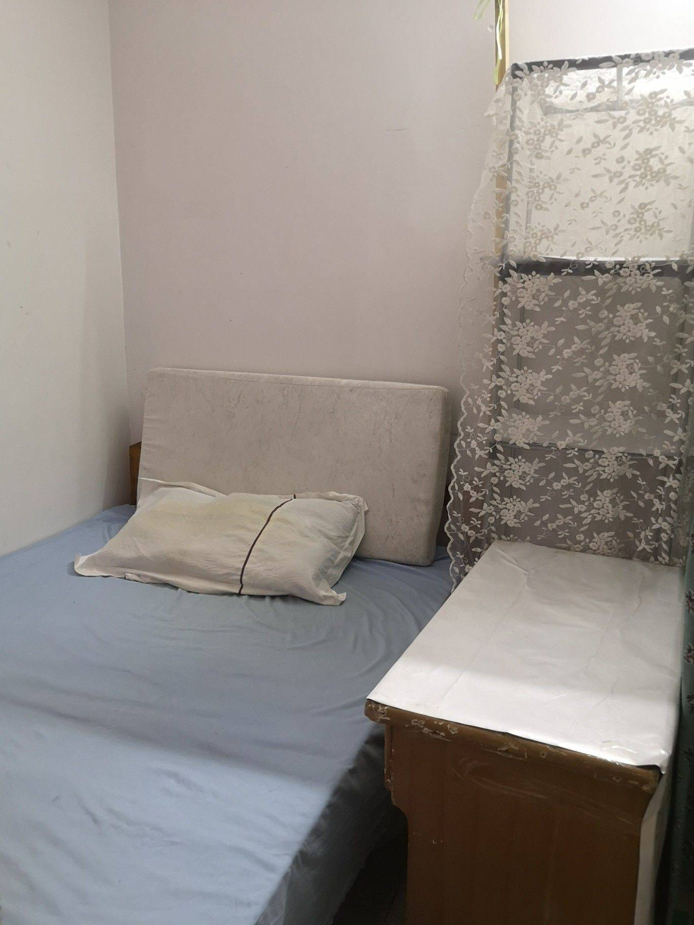 Shenzhen Longhua | 樟坑三区_6