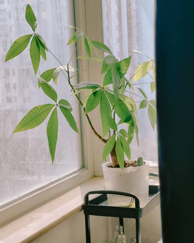 北京 朝陽 | 首开畅心园_4