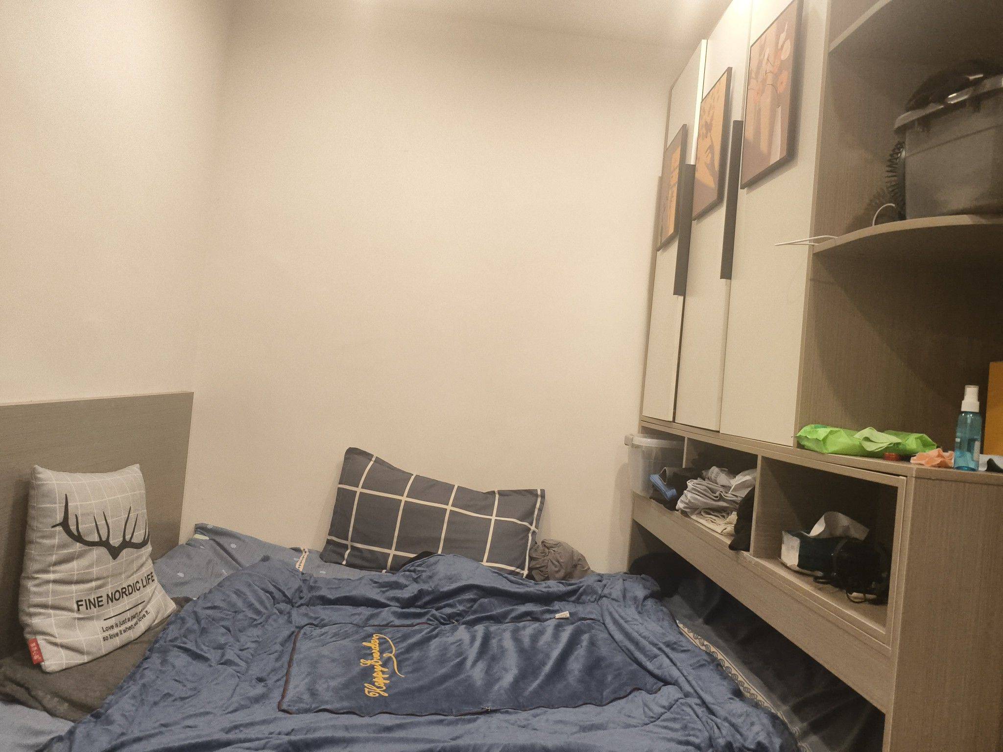 落叶知秋整租房源1