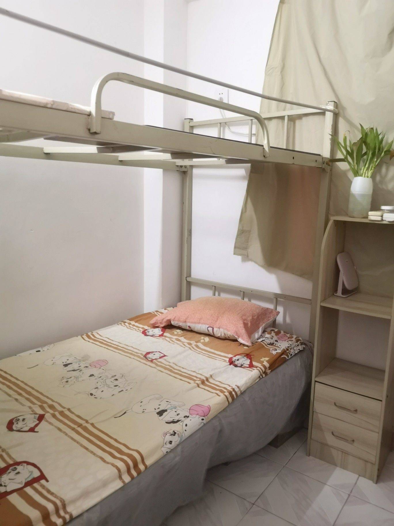 Shenzhen Longhua | 樟坑三区_3