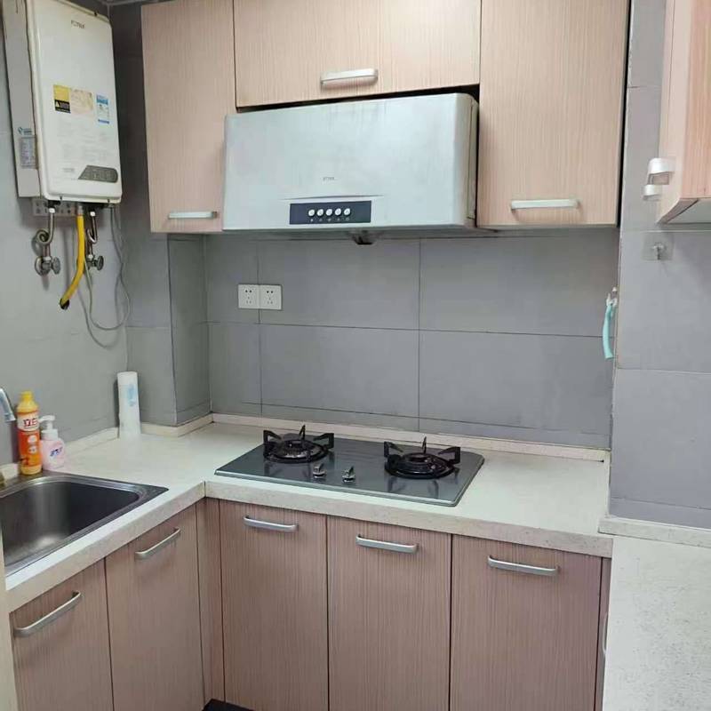 Wuhan Jiangxia | 当代国际花园-未来域_4