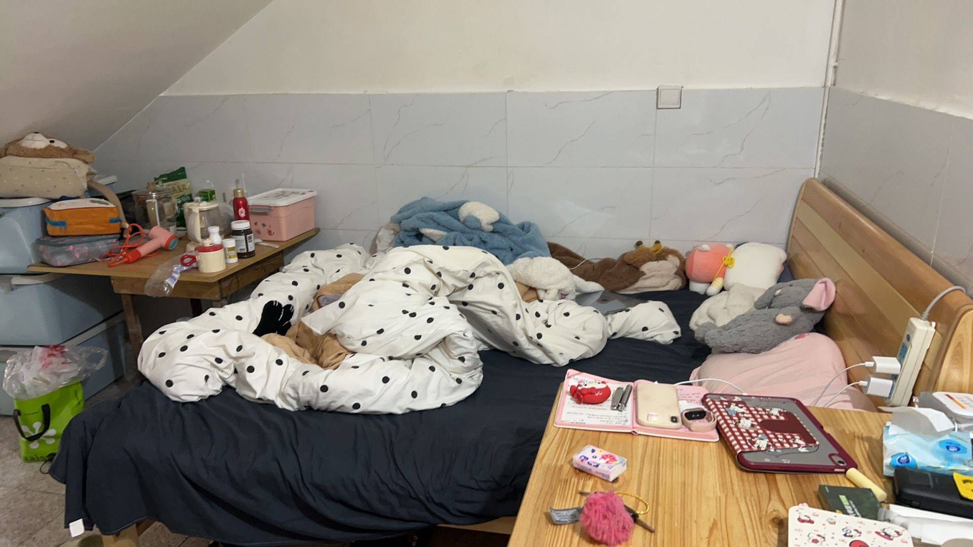 Shanghai Qingpu | 陆家圩小区-北区_3