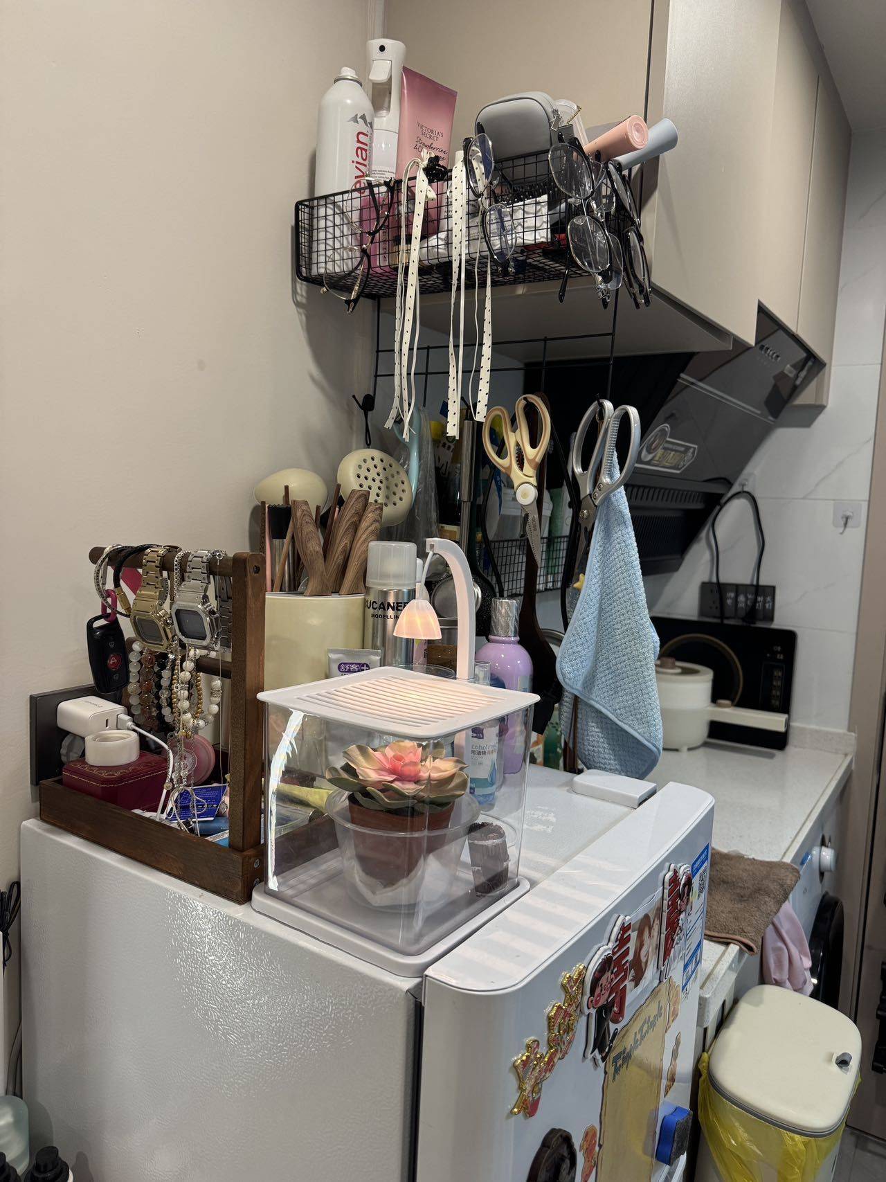 Shenzhen Longhua | 沙吓_4