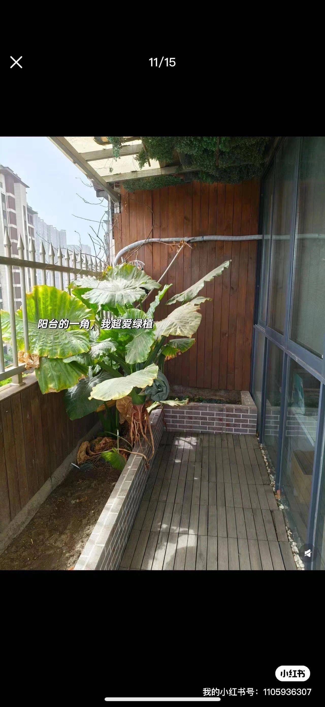 成都 青羊 | 水岸格林_8