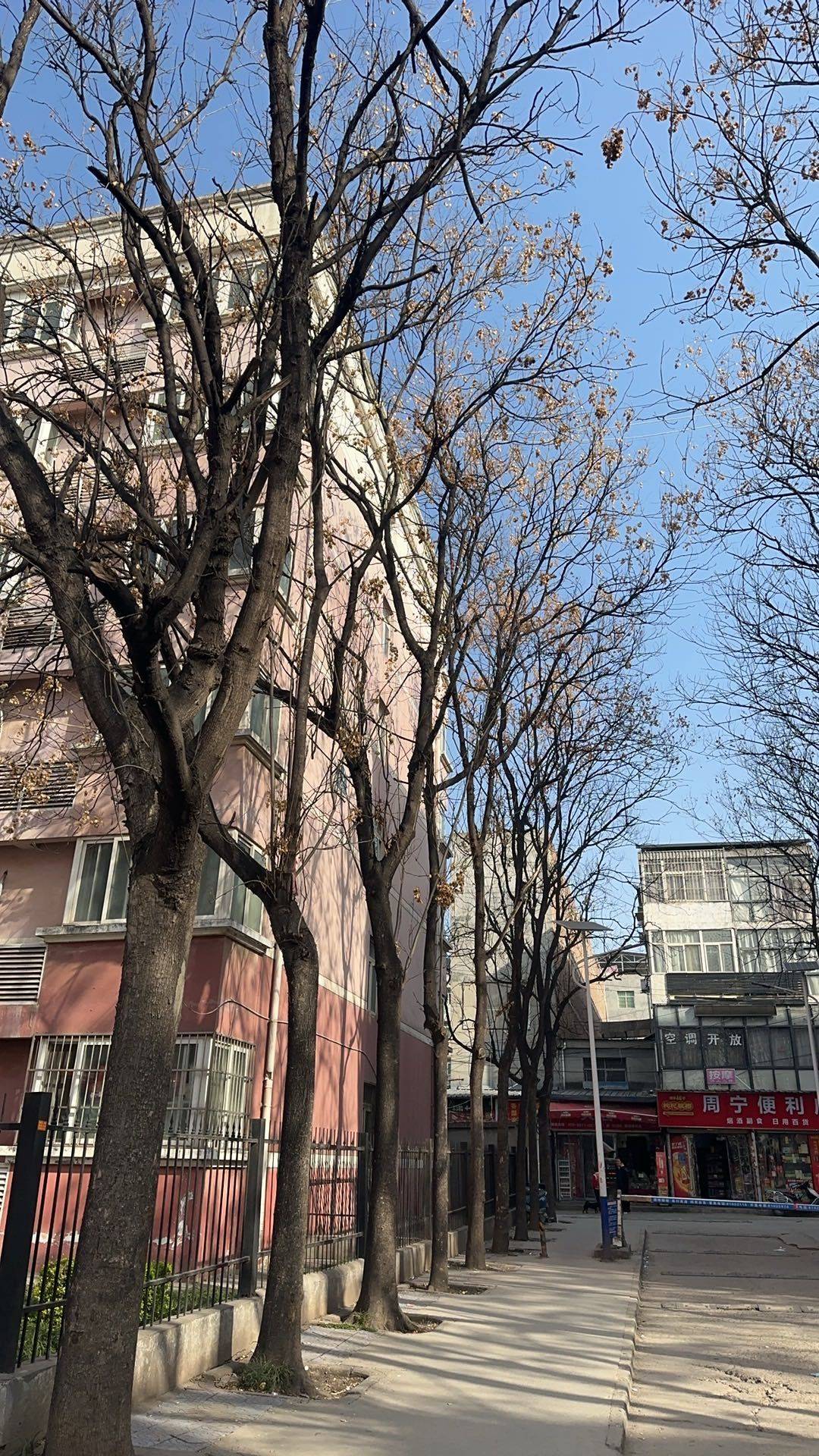 安之若素整租房源3