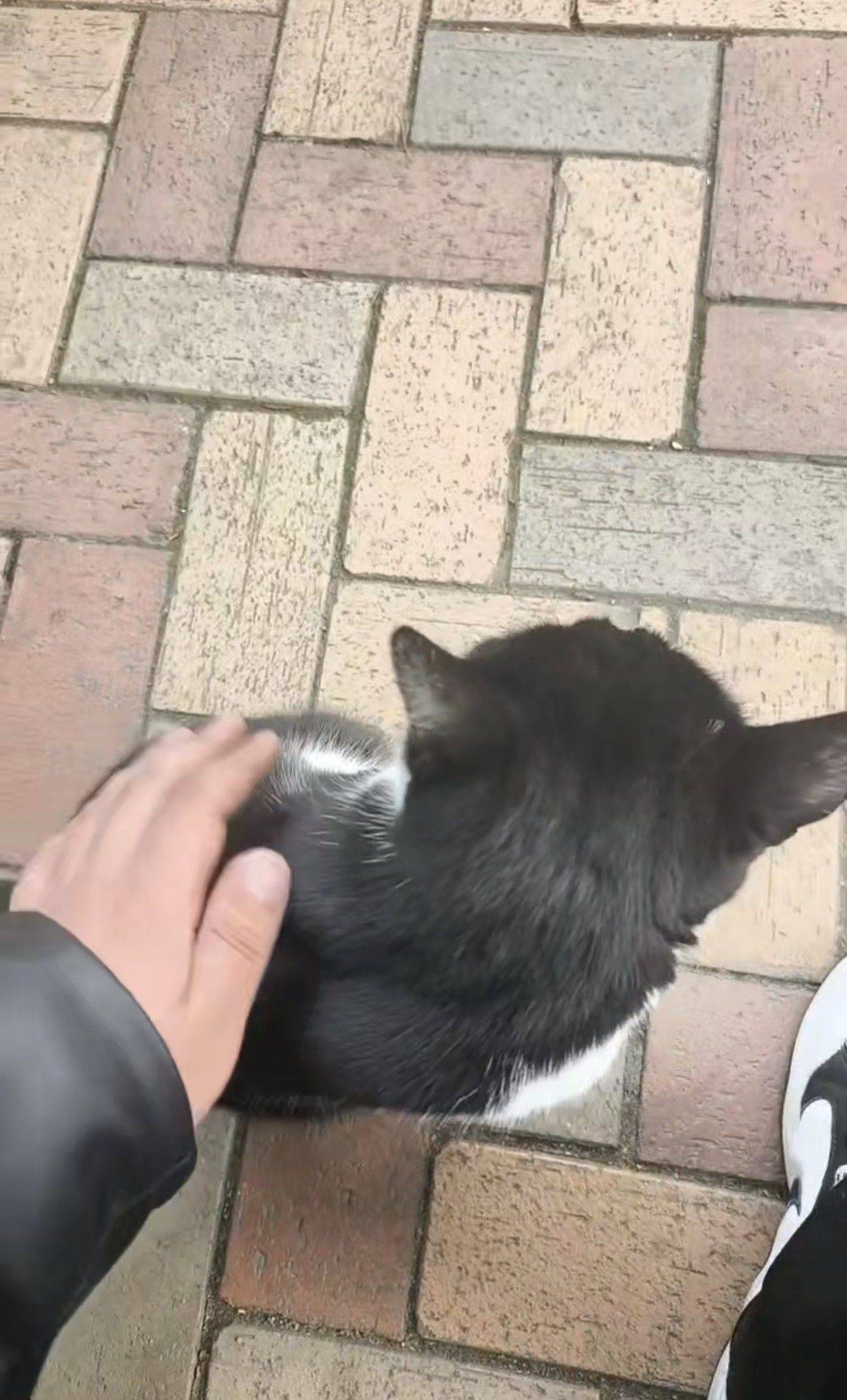 青岛 市北 | 良辰美景_3