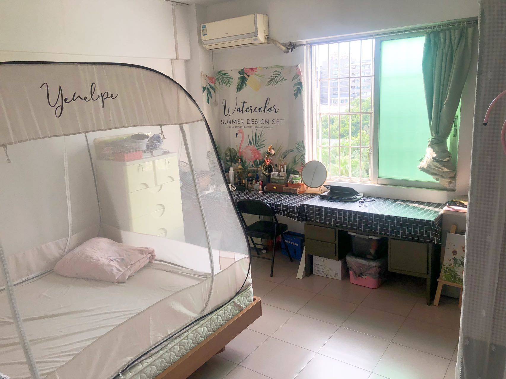 上树想摘桃子🍑整租房源3