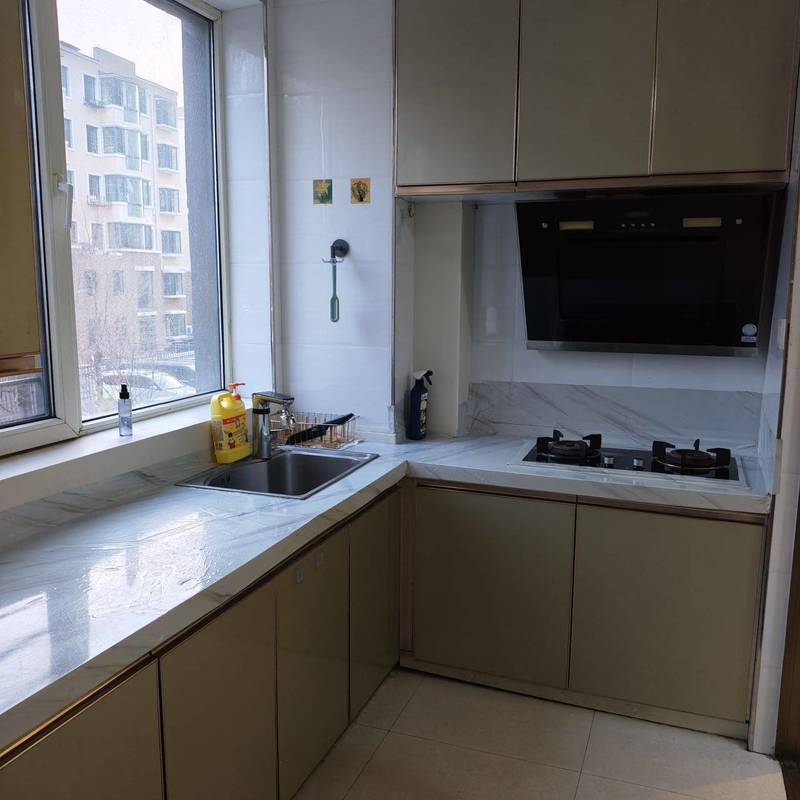 Shenyang Yuhong | 亚都名苑-3期_4