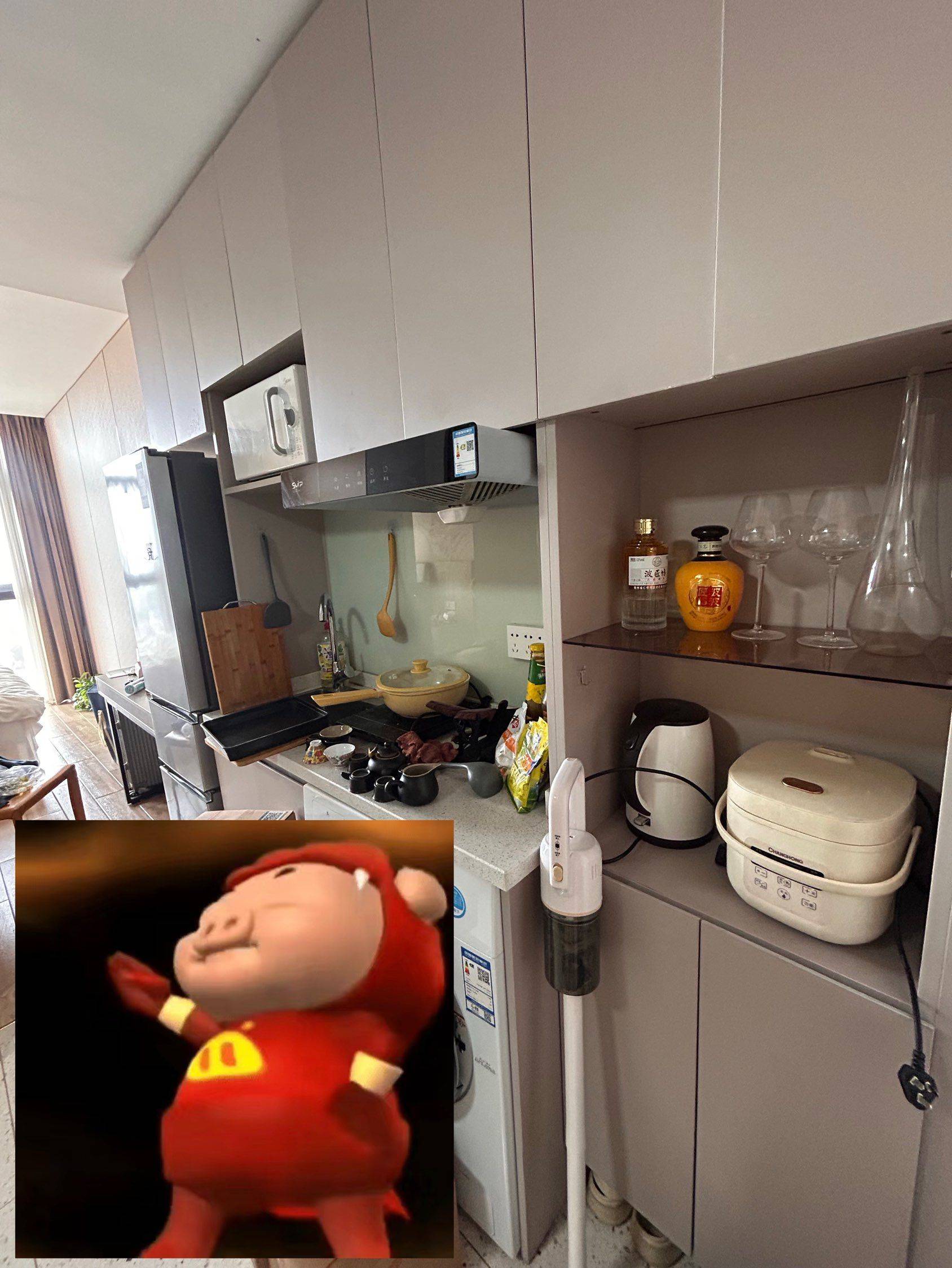 Shanghai Qingpu | 上海斯维派公寓_4