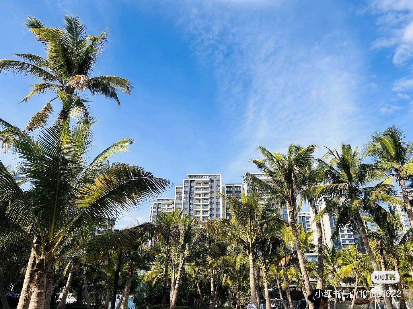 三亚 吉阳 | 万科都会四季-18栋_6