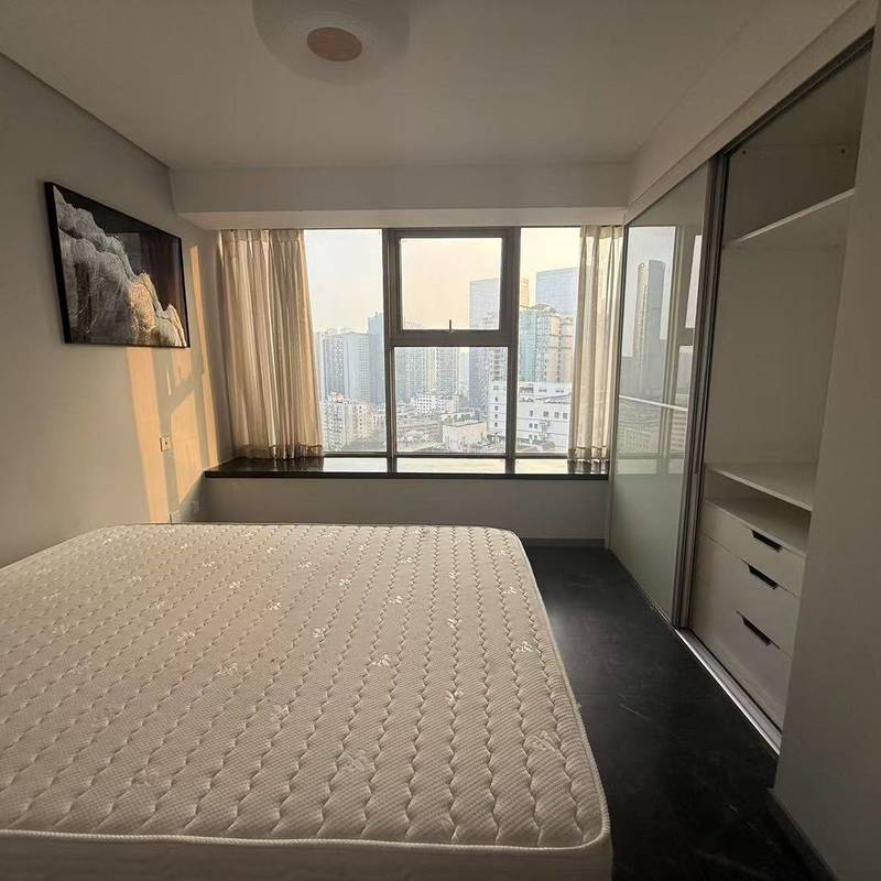 成都 錦江 | 朗御2单元_3