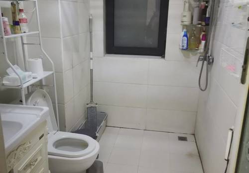 Wuqing 天鹅湖壹号-9号楼