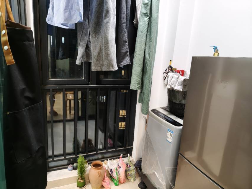 窗外有颗树整租房源3