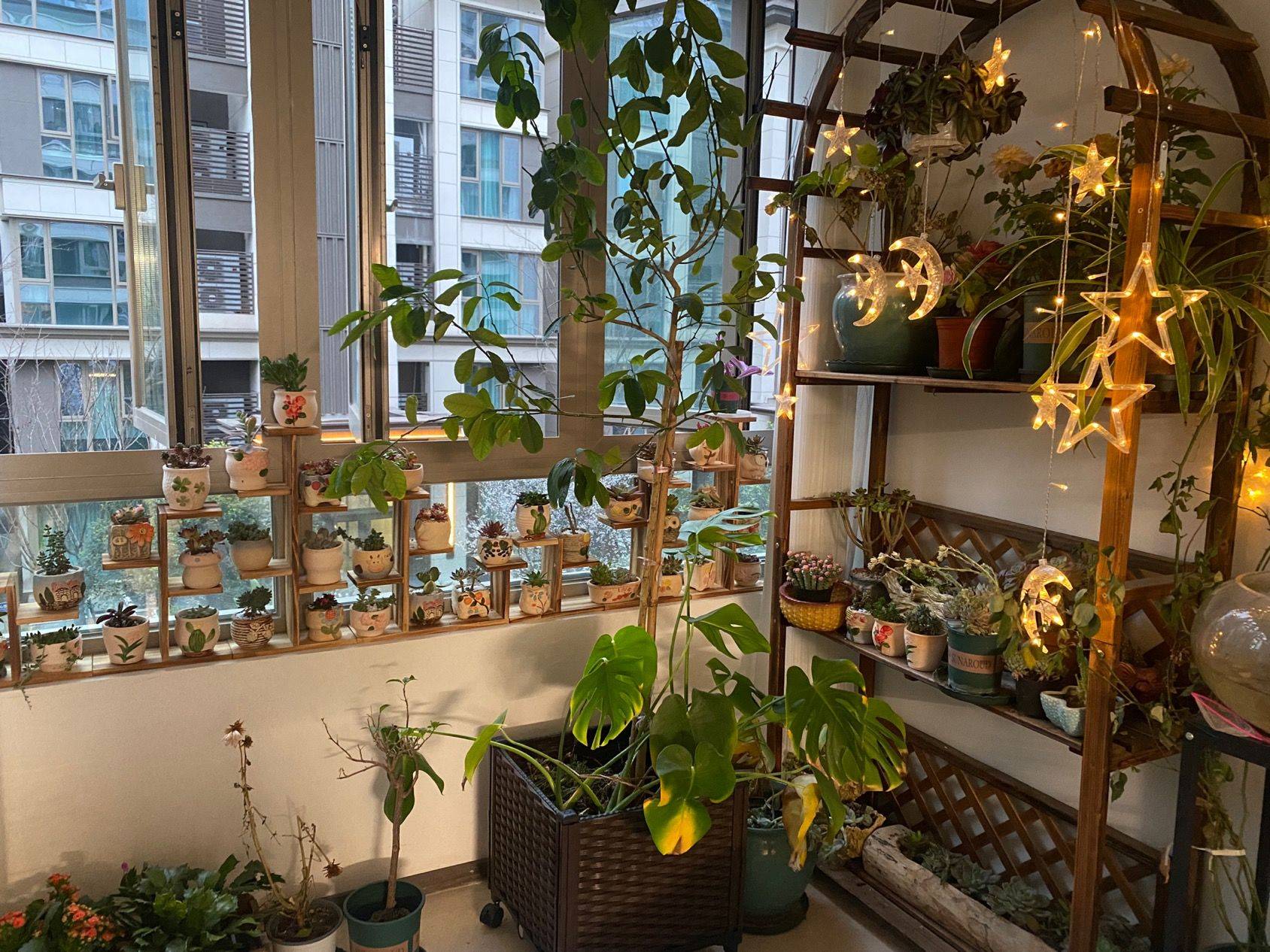 成都 双流 | 龙湖九里名邸_7