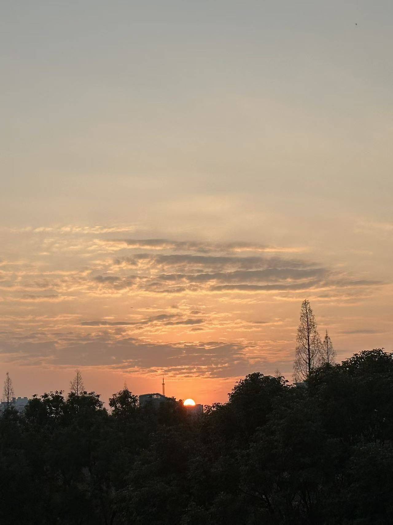 上海 长宁 | 畅翠苑-358号小区_6