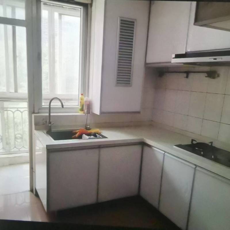 上海 閔行 | 新明星花园-二期_3