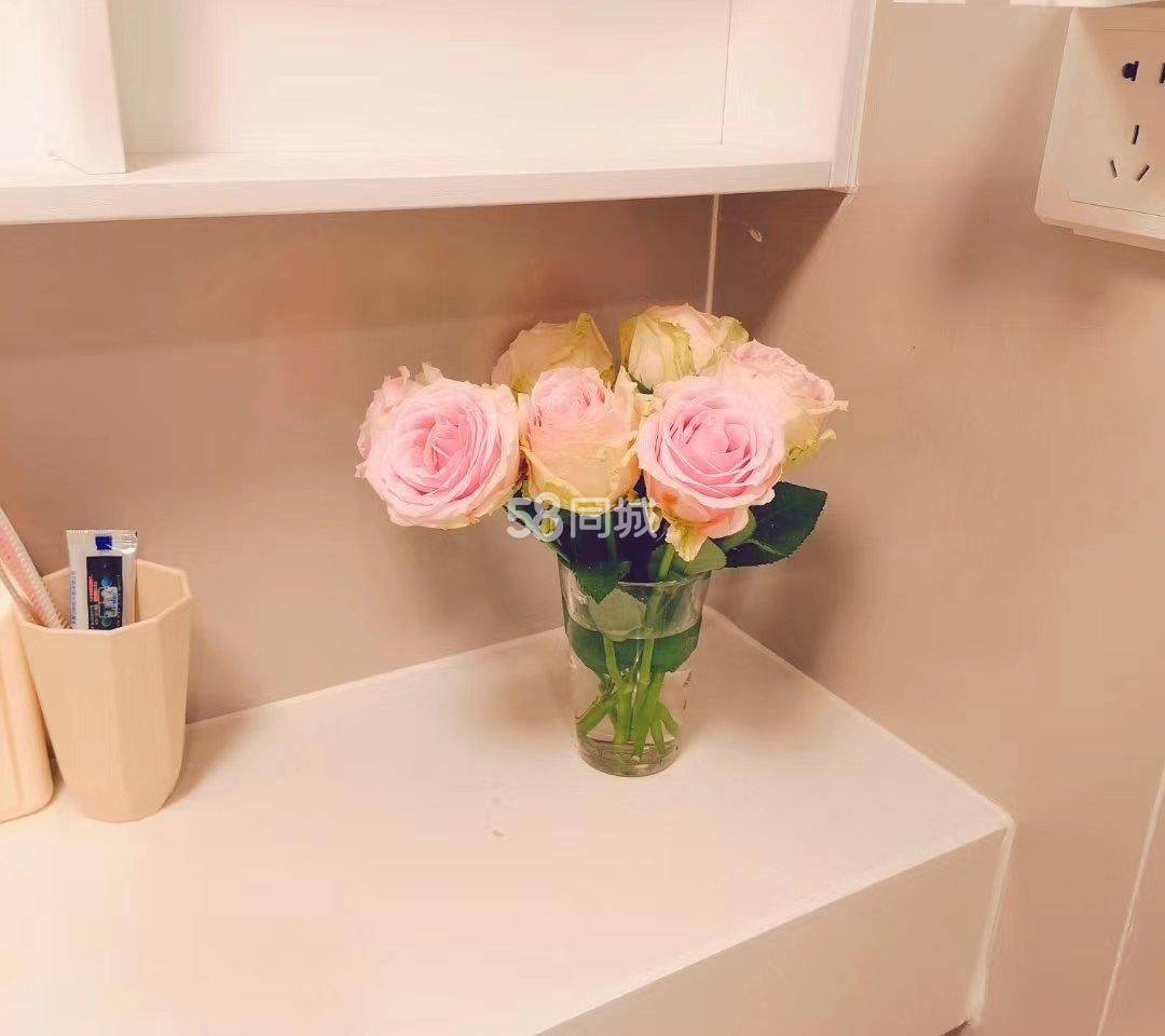 Dongguan Dongcheng | 碧桂园苹果一期_5