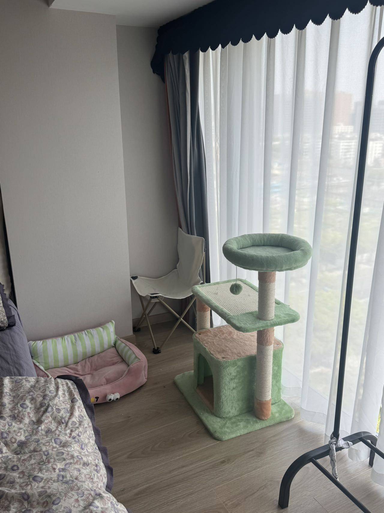 杭州 拱墅 | 申花印月_5