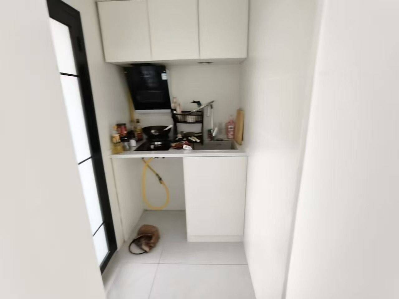 上海 闵行 | 莘松七村_6