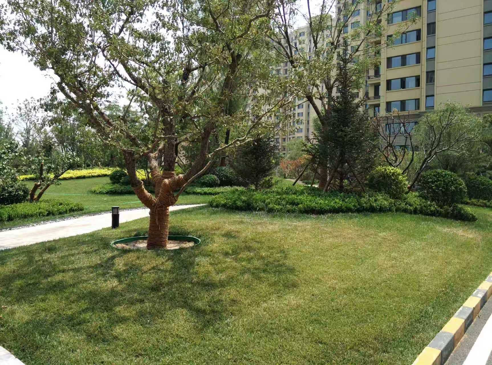 alan2047整租房源1