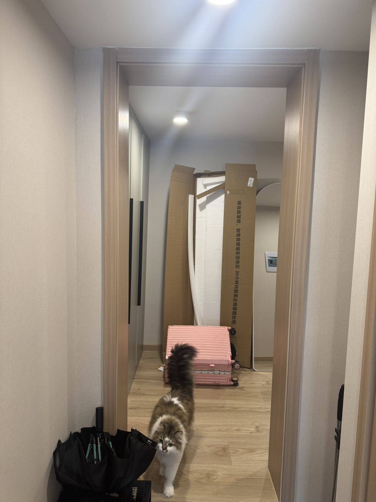 杭州 拱墅 | 申花印月_7