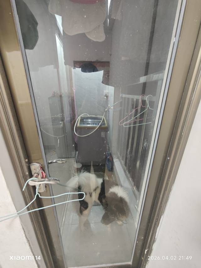 憨憨整租房源2