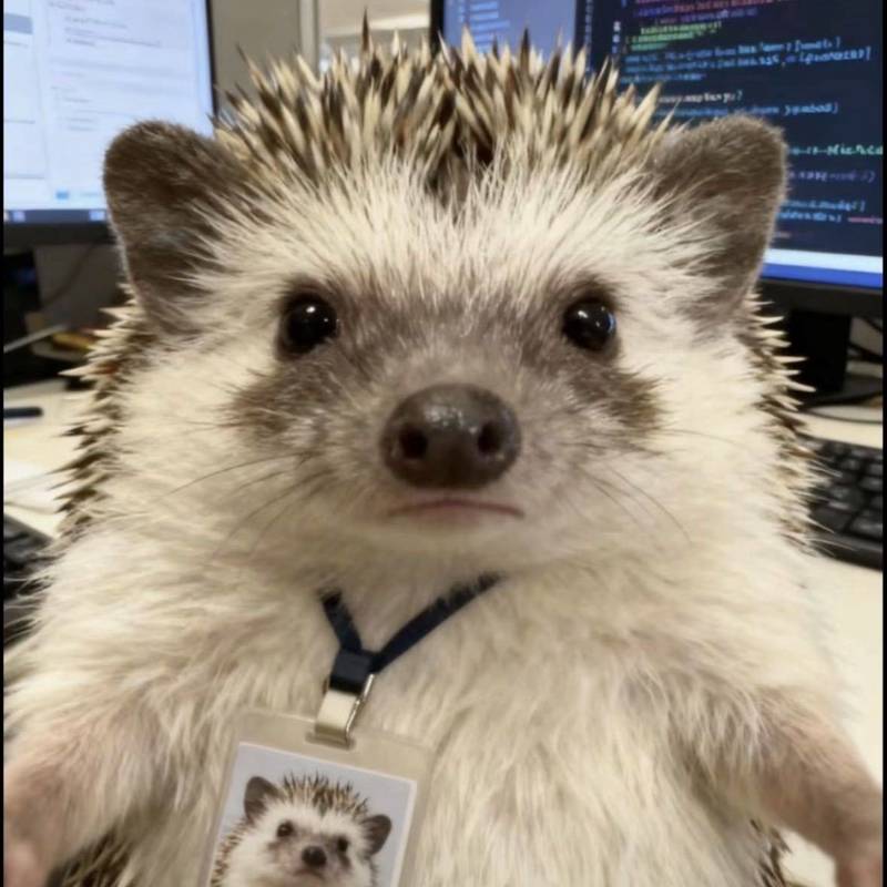 深圳 宝安 | 塘尾十一区_3