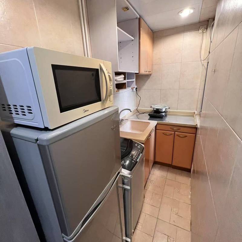 香港 香港岛 | 金狮花园第二期_3