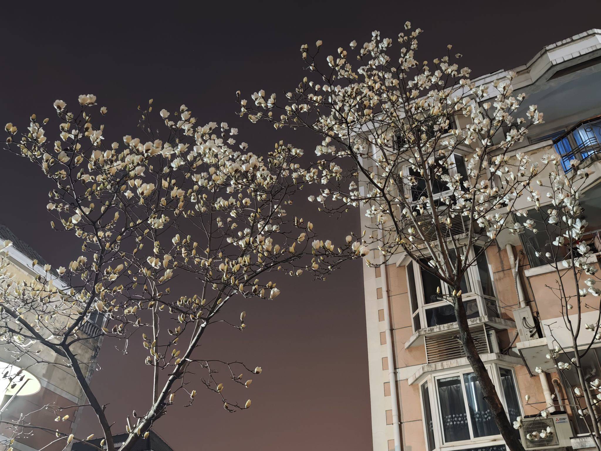 蘇州 虎丘 | 时代花园_7