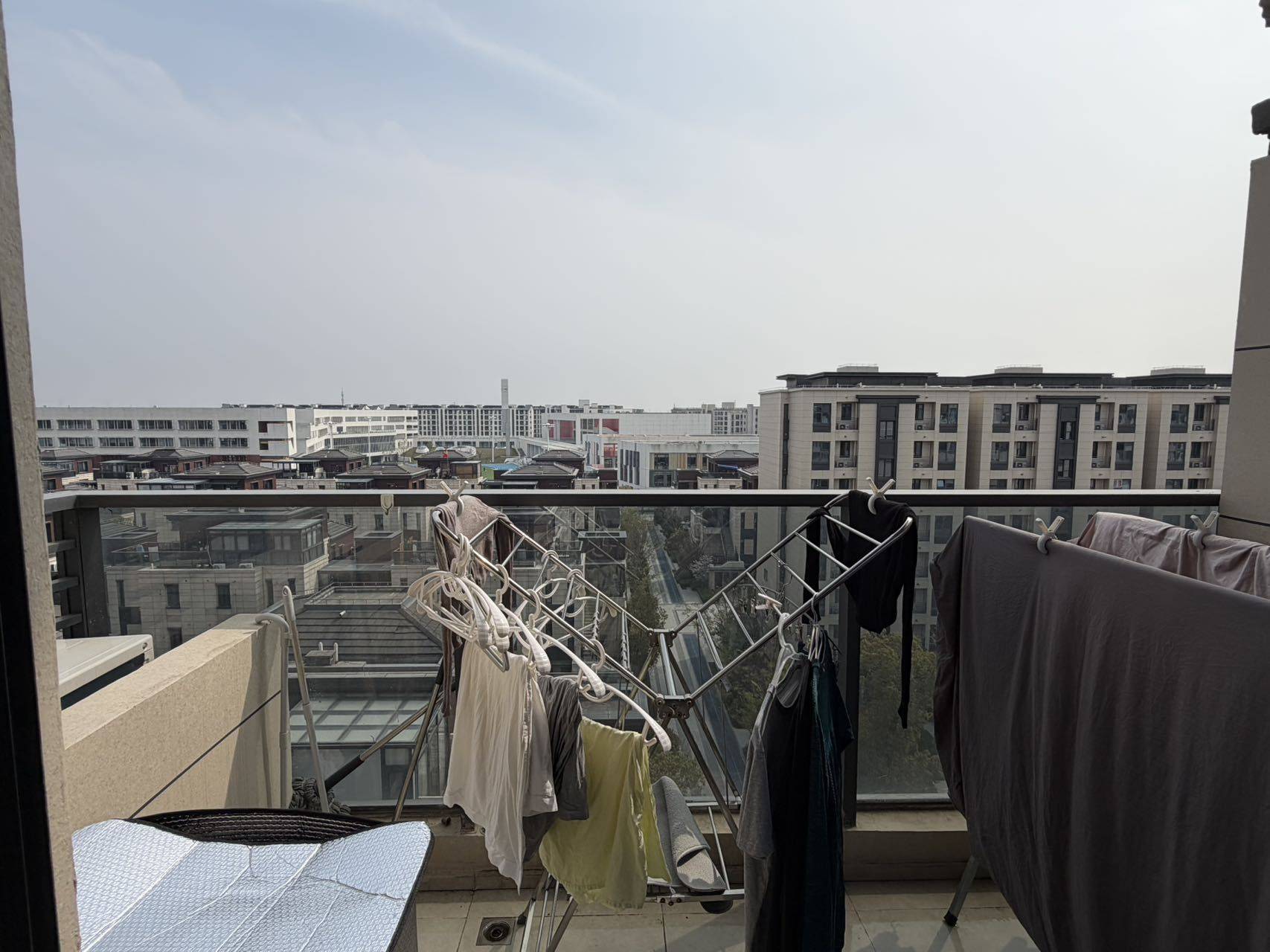 Shanghai Qingpu | 中环境秋月_6