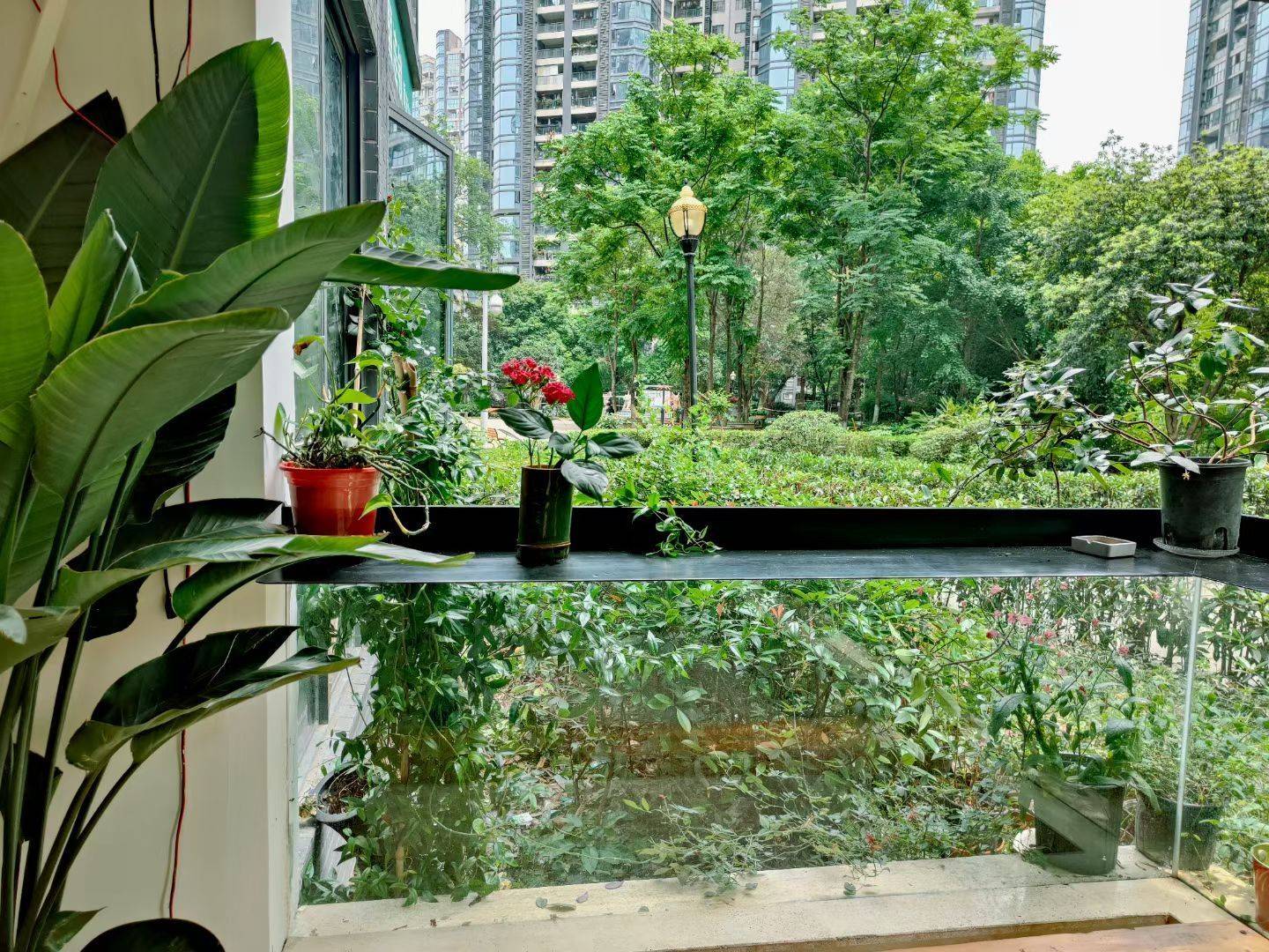 Chongqing Nan'An | 聚丰江山天下_4