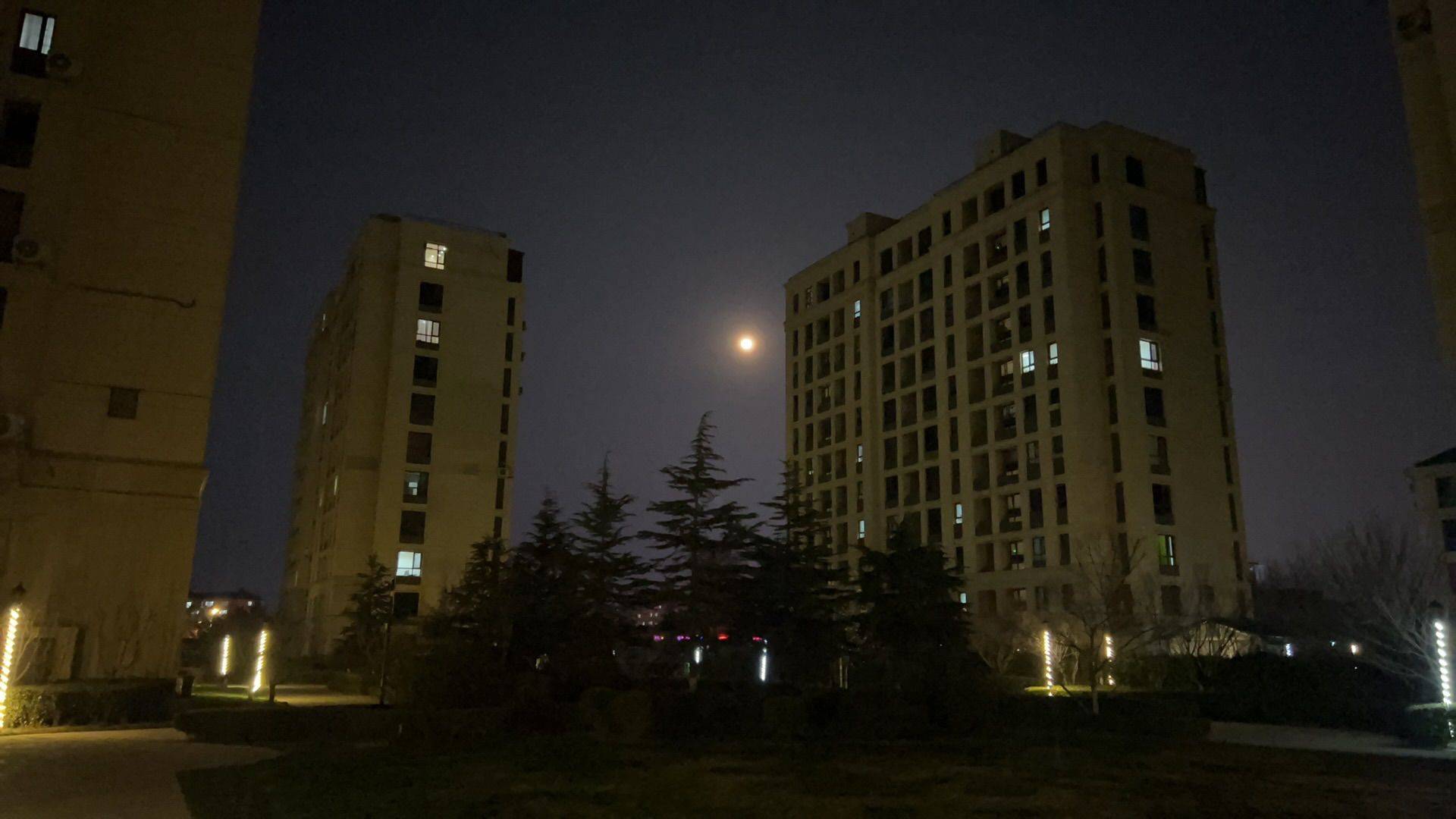 大連 金州 | 绿城玉兰花园_7