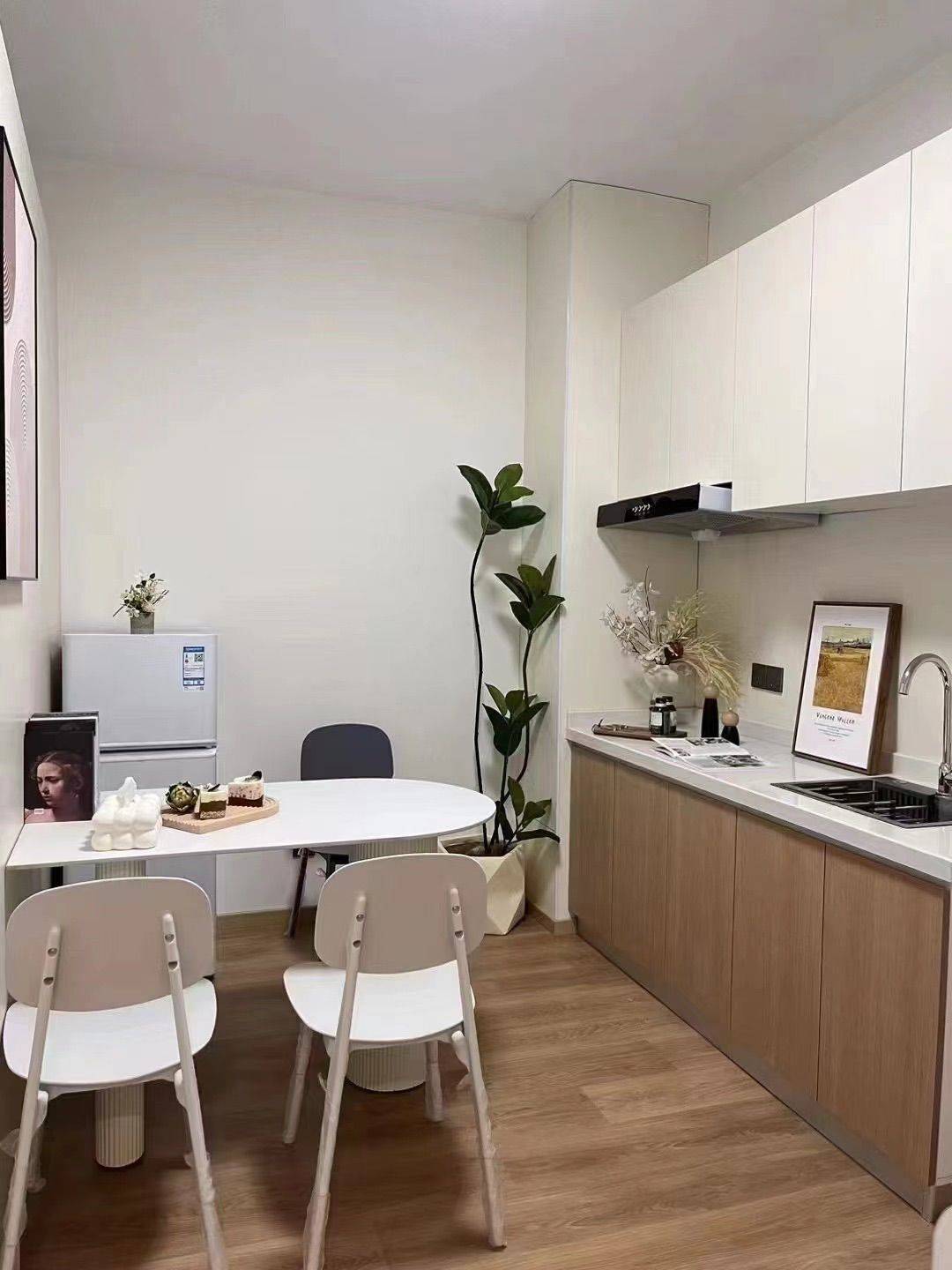 躺平部落首领整租房源3