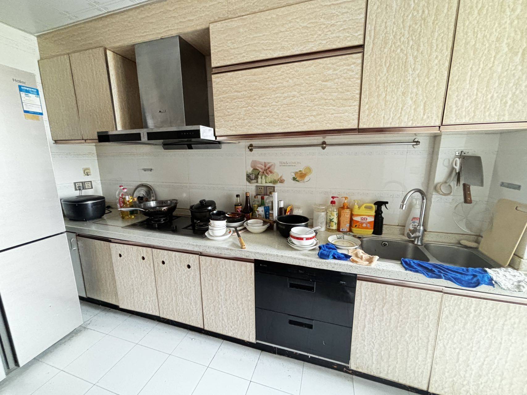 Fandcat🐱整租房源3