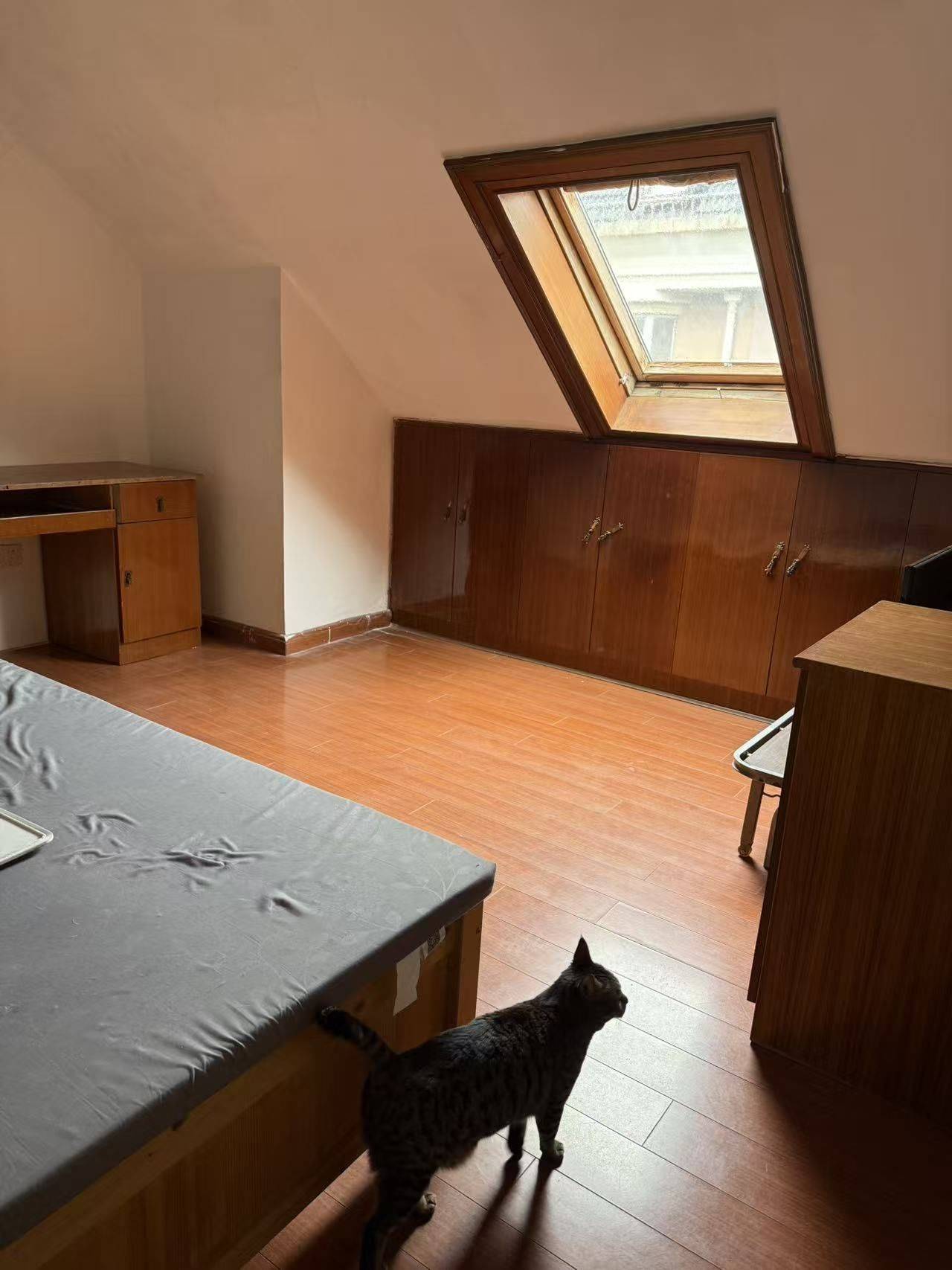 喵小白整租房源2