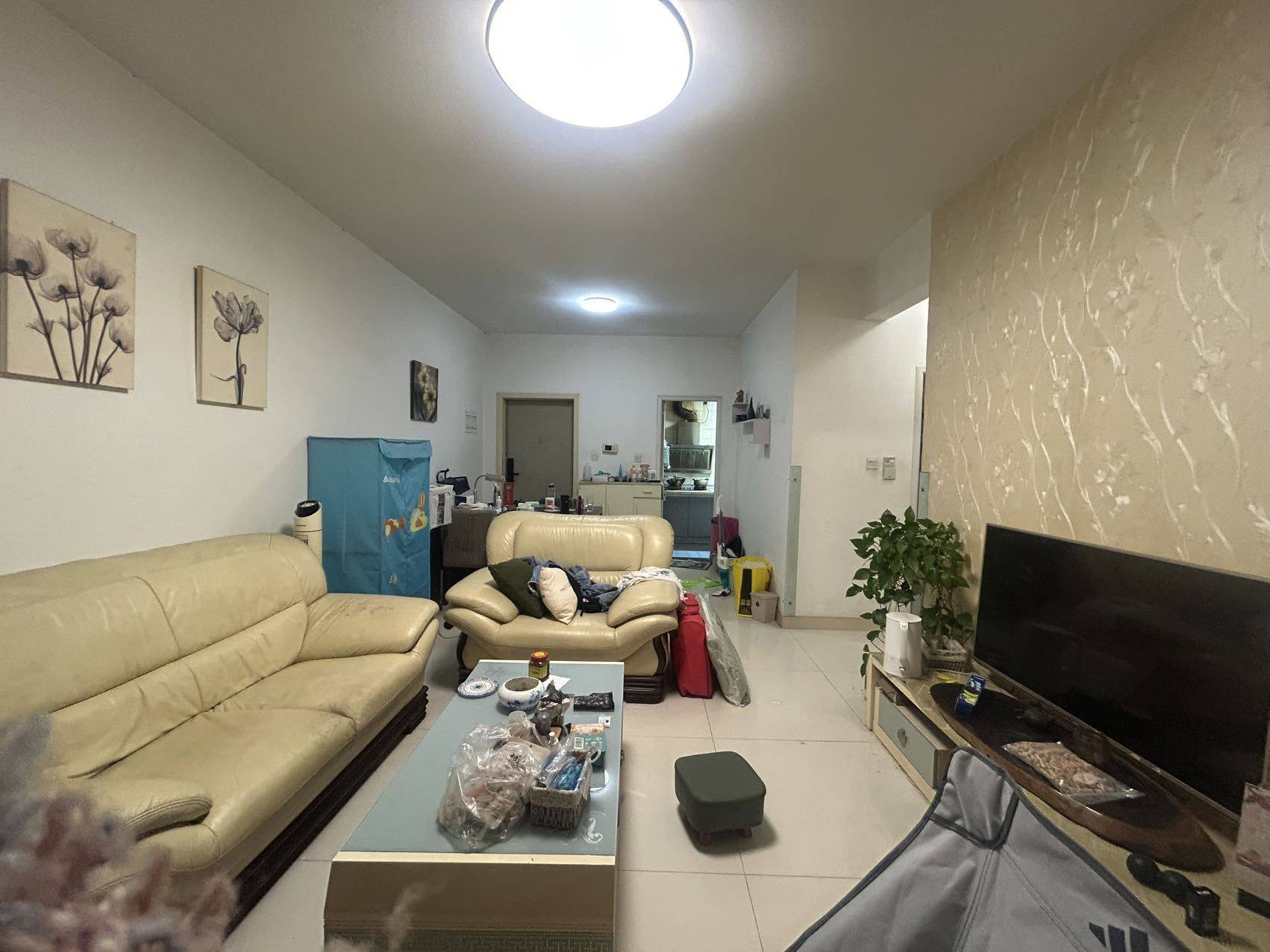 随风飘逸整租房源1