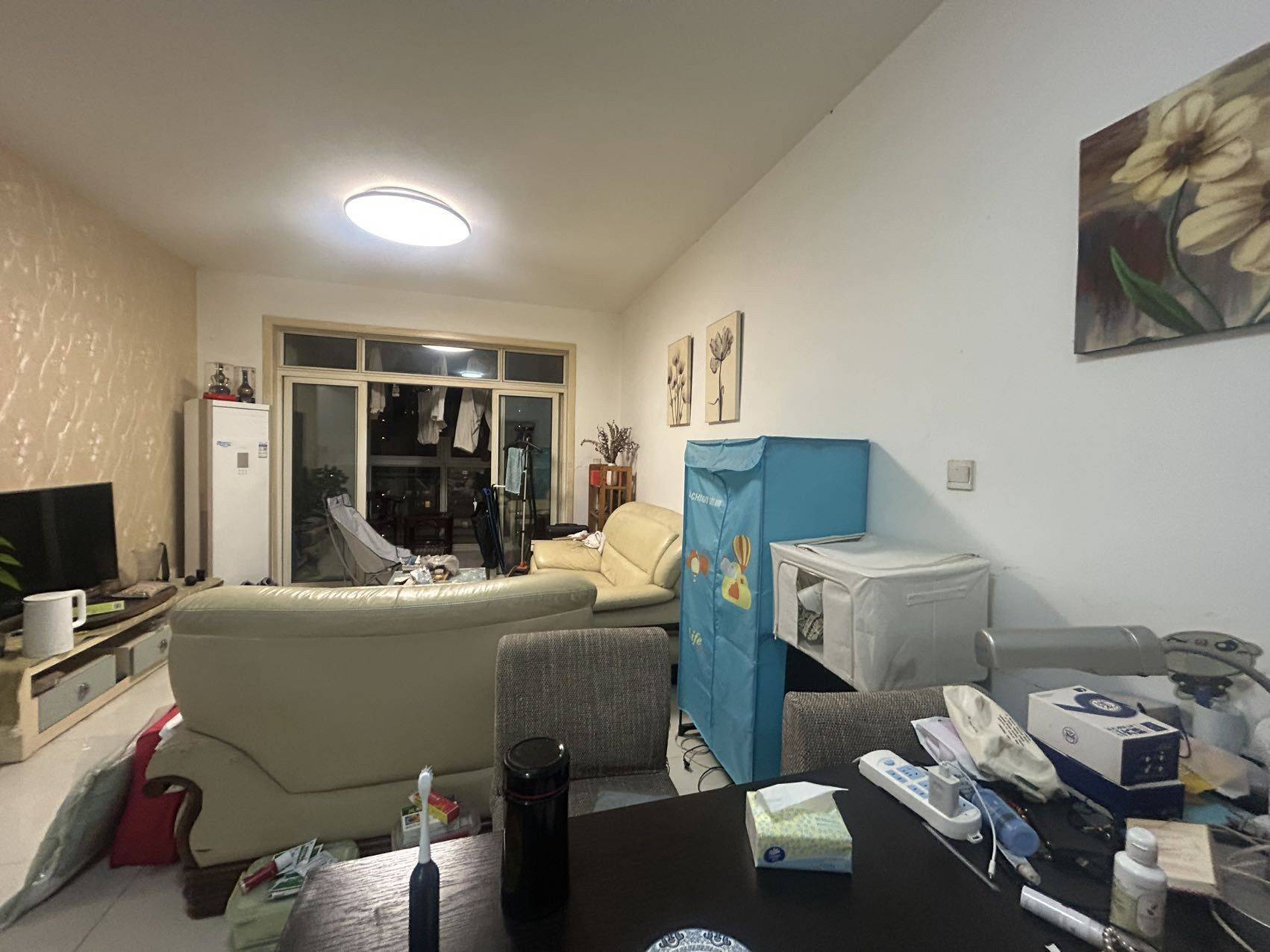 随风飘逸整租房源3