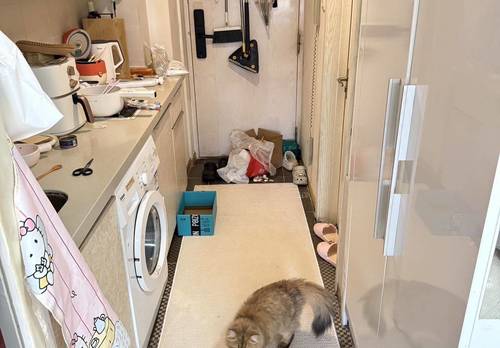 虹口 上海丽舍公寓