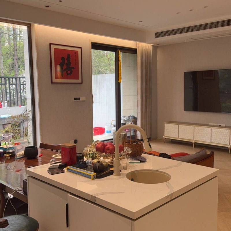 常州 武進 | 湖滨壹号-104栋_3