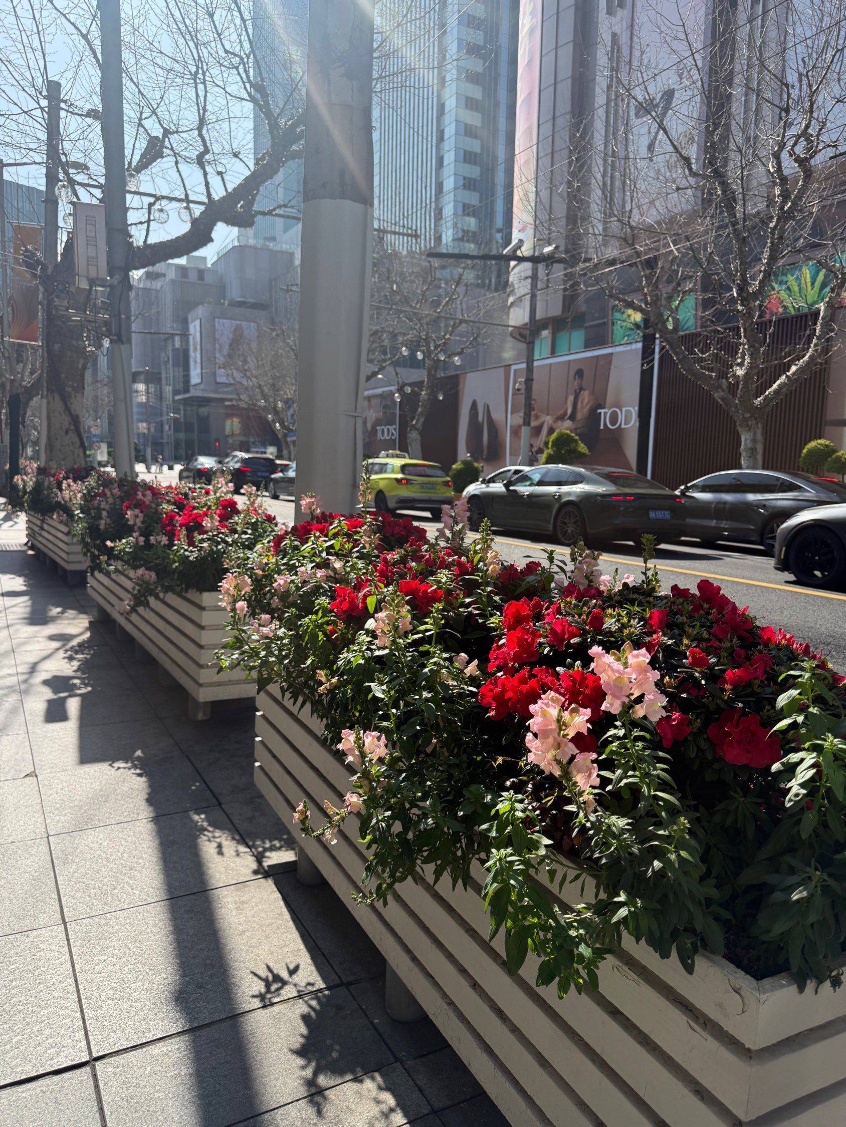 上海 静安 | 安乐坊_5