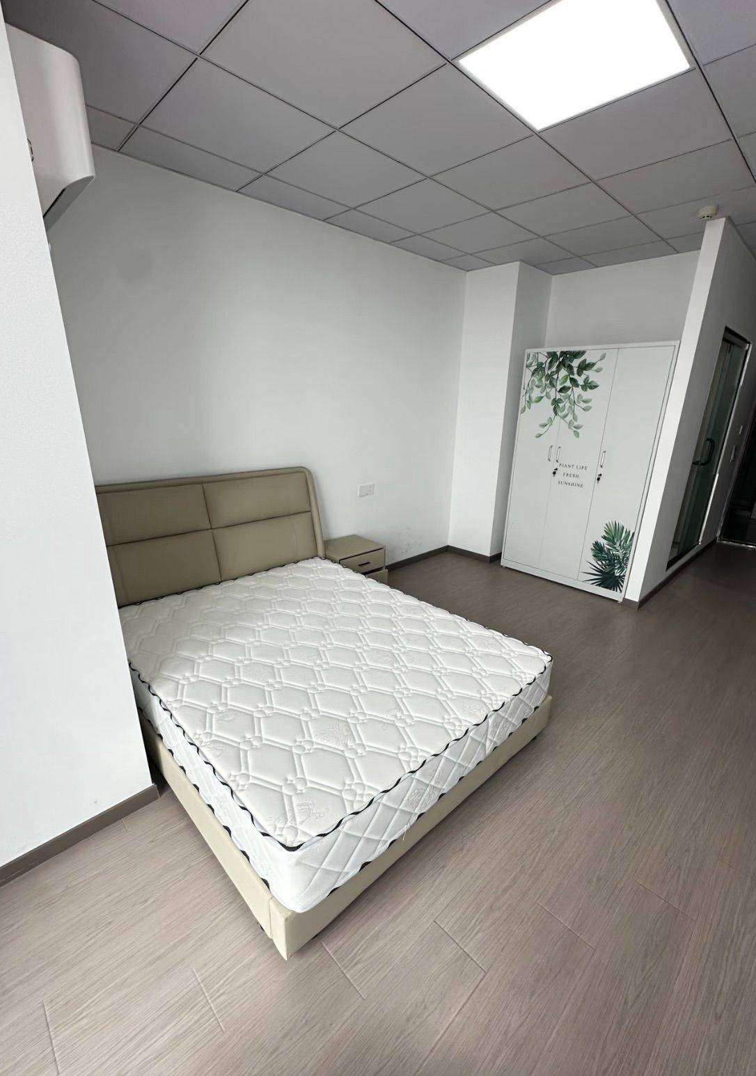 麵麵小蛋糕整租房源2