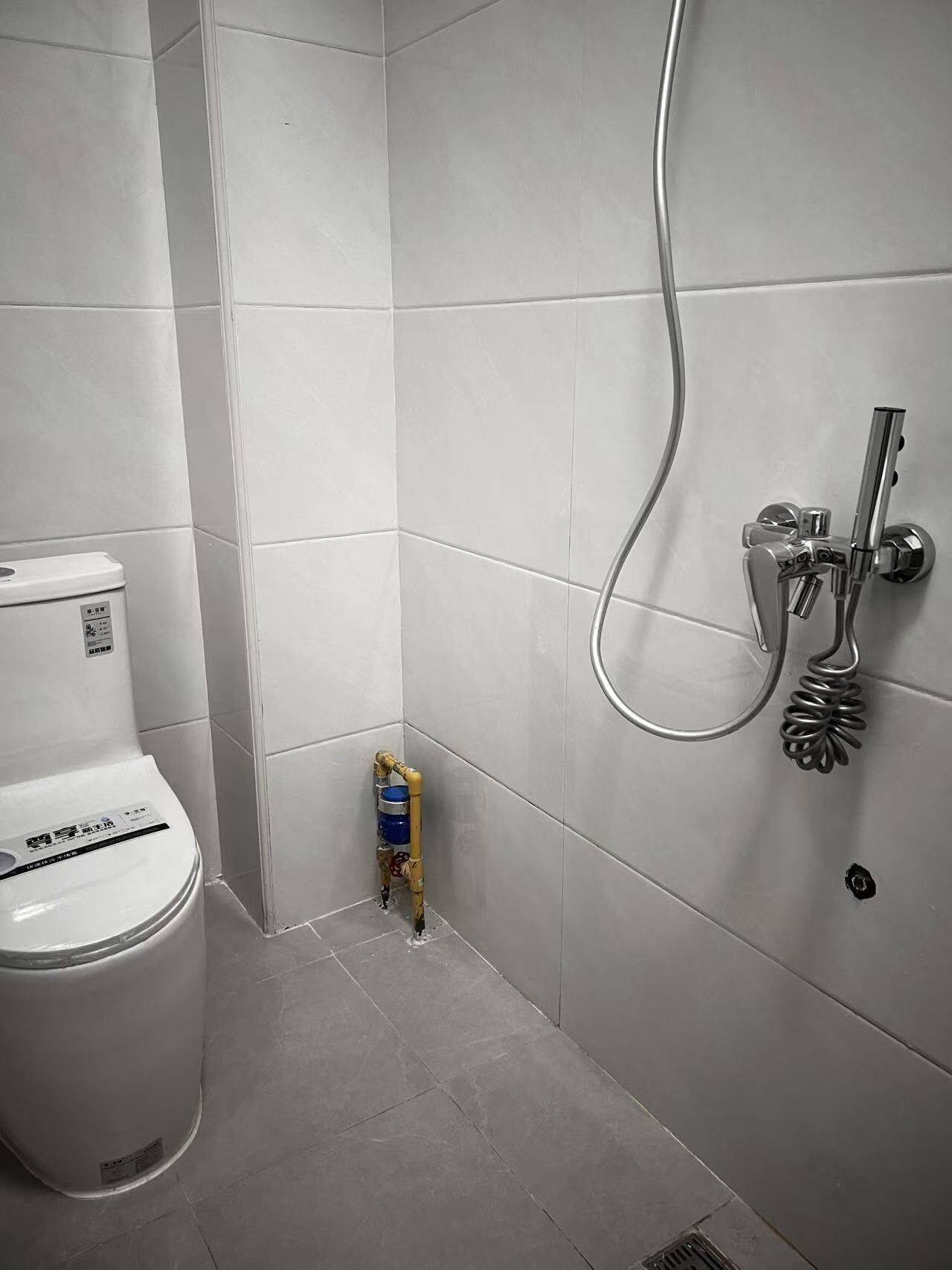 泉州 晉江市 | 洋埭村东吾埭沟-169号楼_3