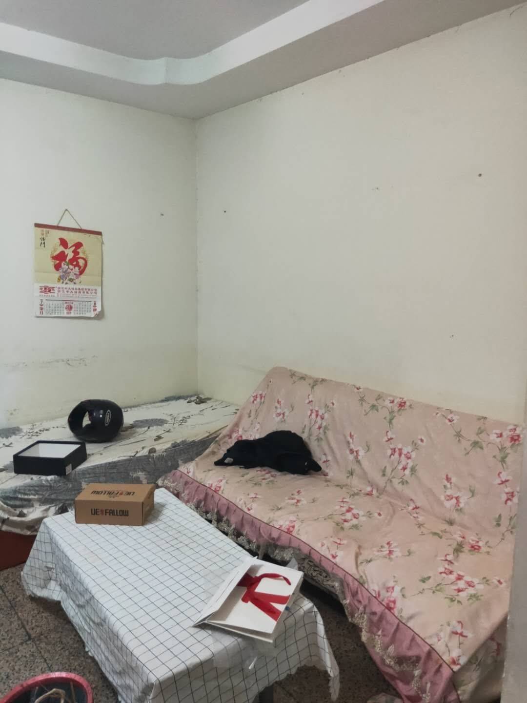 重庆 南岸 | 南坪正街小区_4