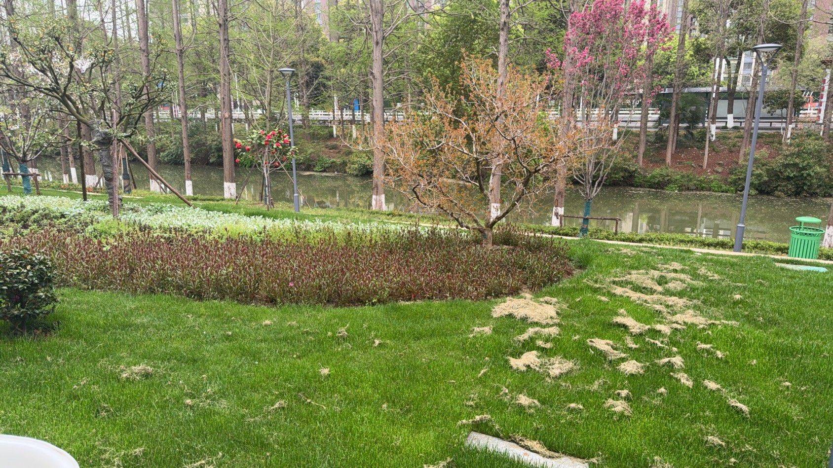 常州 武進 | 湖滨壹号-104栋_6