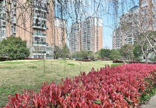 Pudong 金桥名都-21号