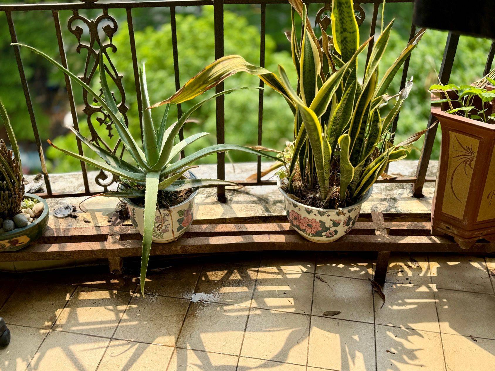 广州 越秀 | 锦城花园_4