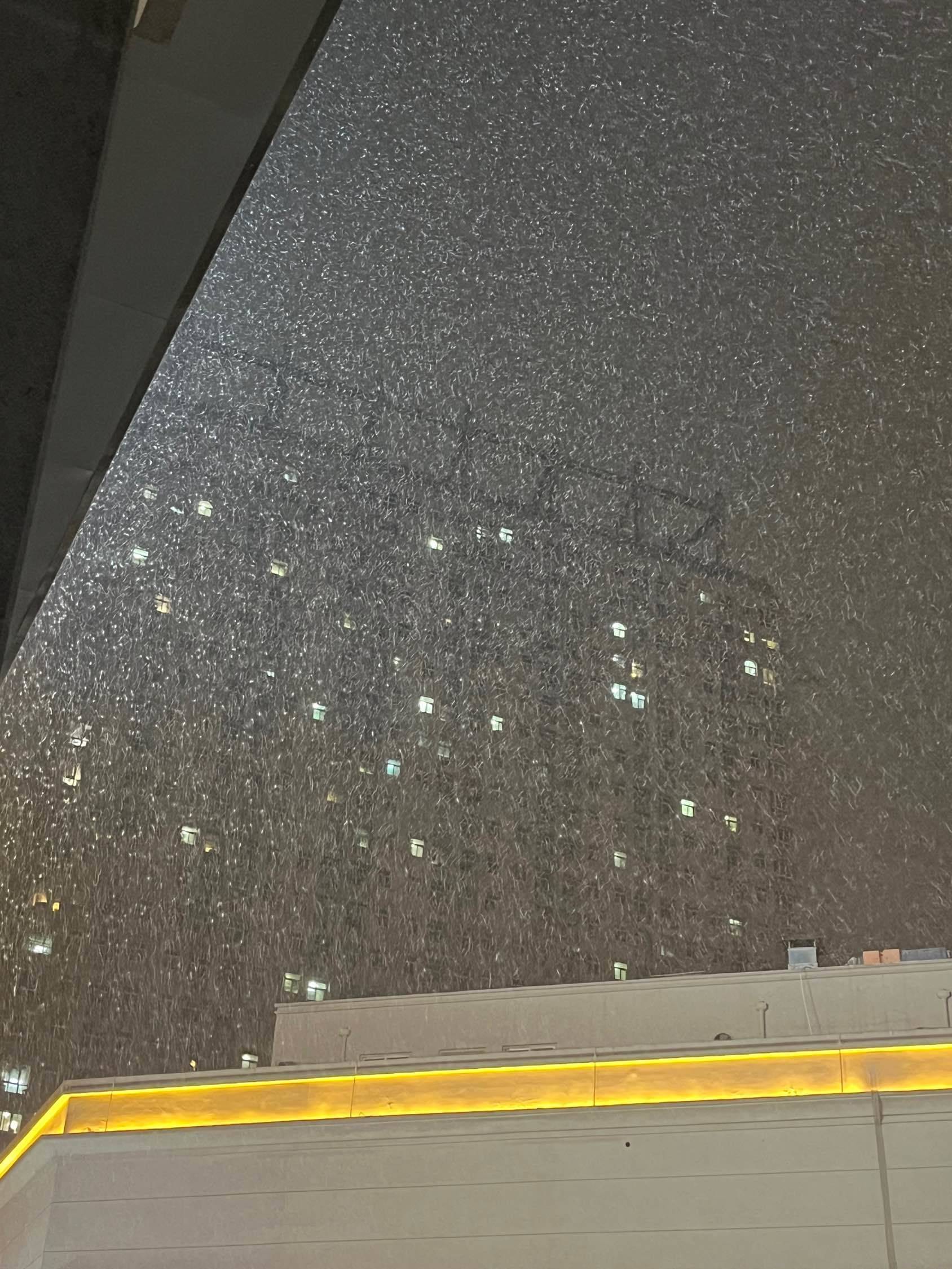 郑州 管城 | 富田东方广场-53号楼_2