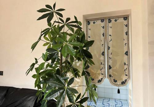 天河 广利路小区62号楼