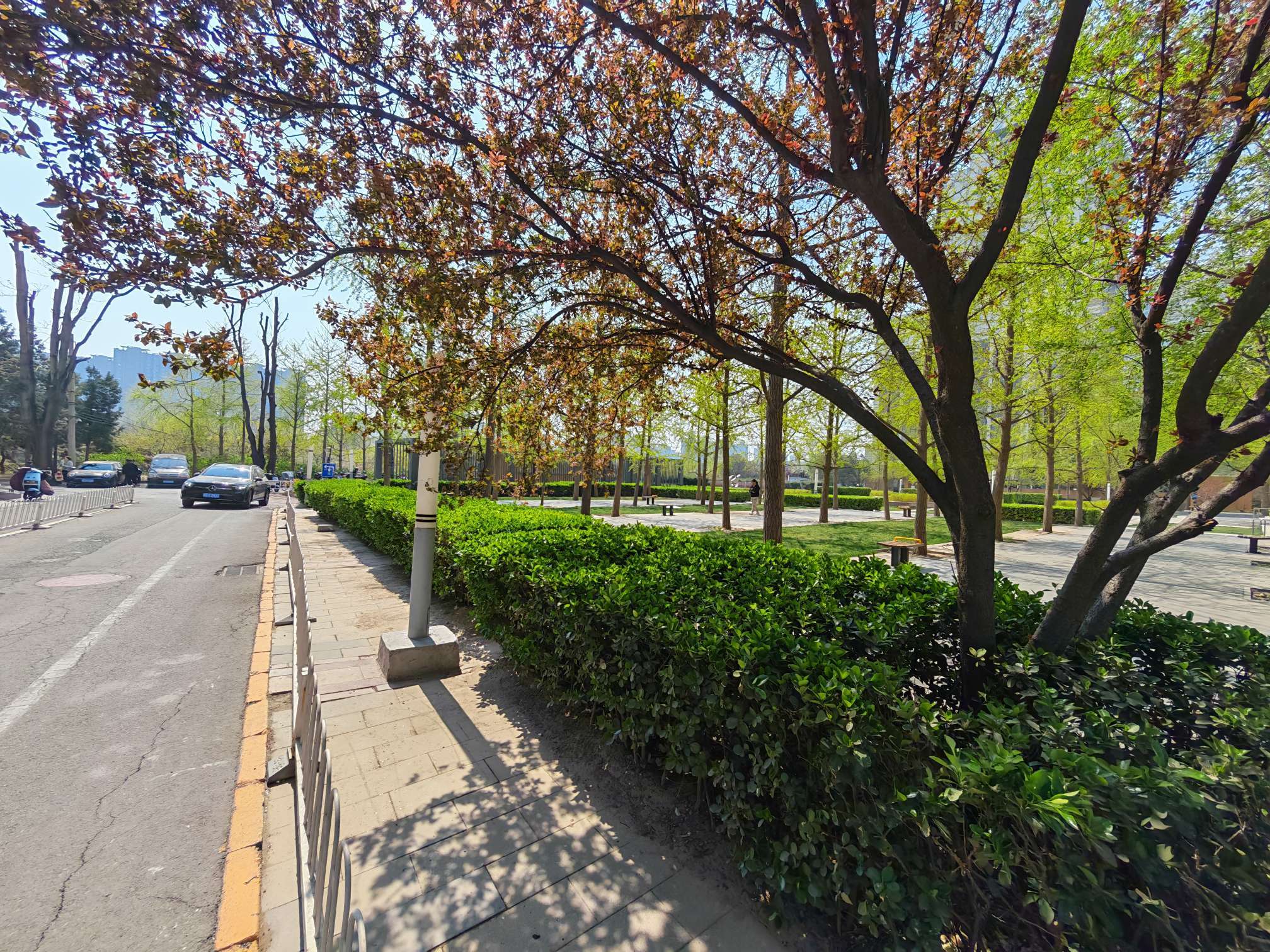 😁😁😁整租房源2