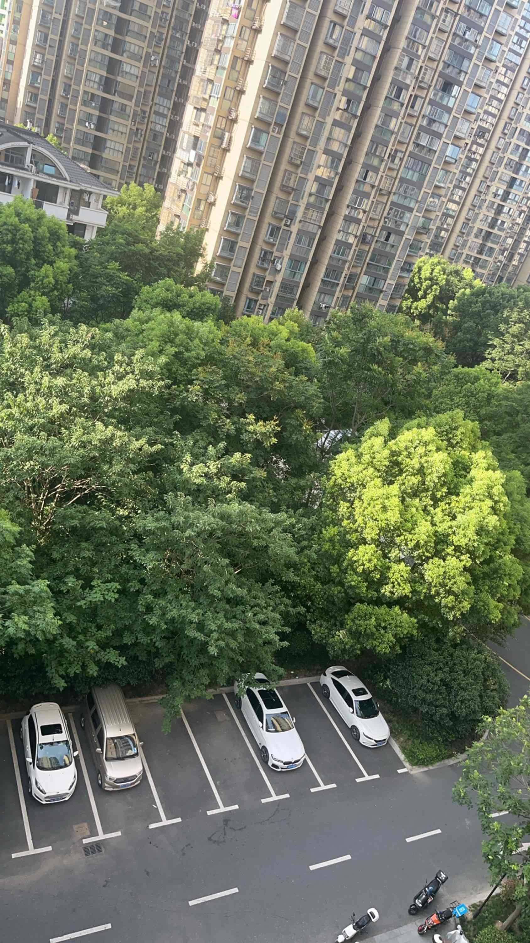 Gongshu 星桥锦绣嘉苑-9幢